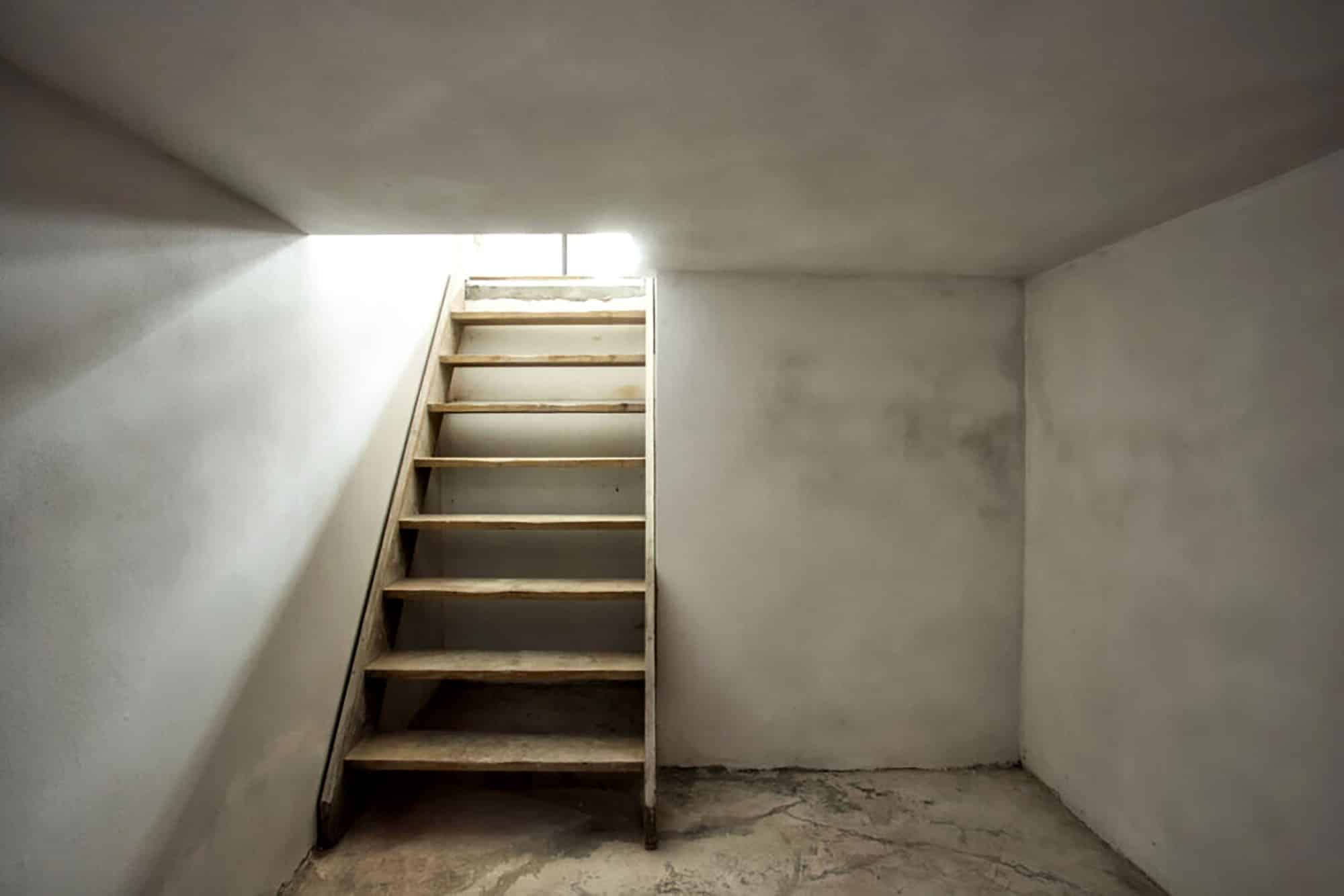 Wooden stairs leading to a dimly lit basement with concrete walls