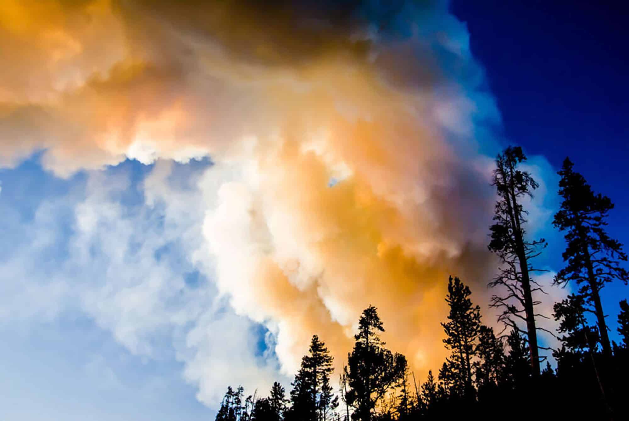 Thick wildfire smoke billowing over forest silhouette at sunset