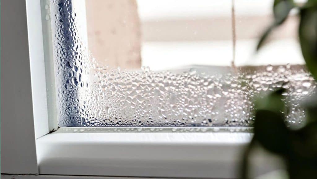 Condensation on window glass in a bright room