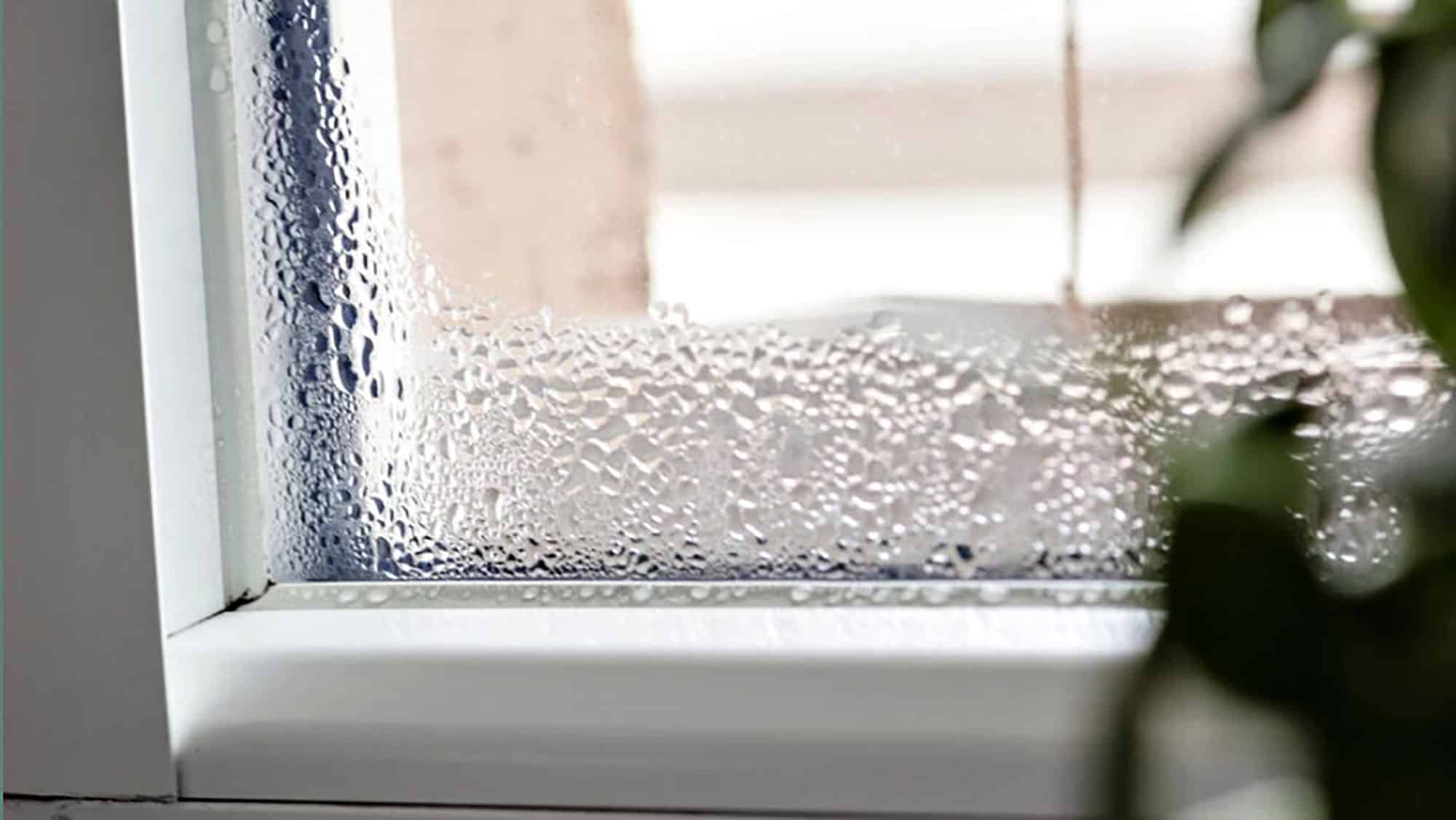 Condensation on window glass in a bright room