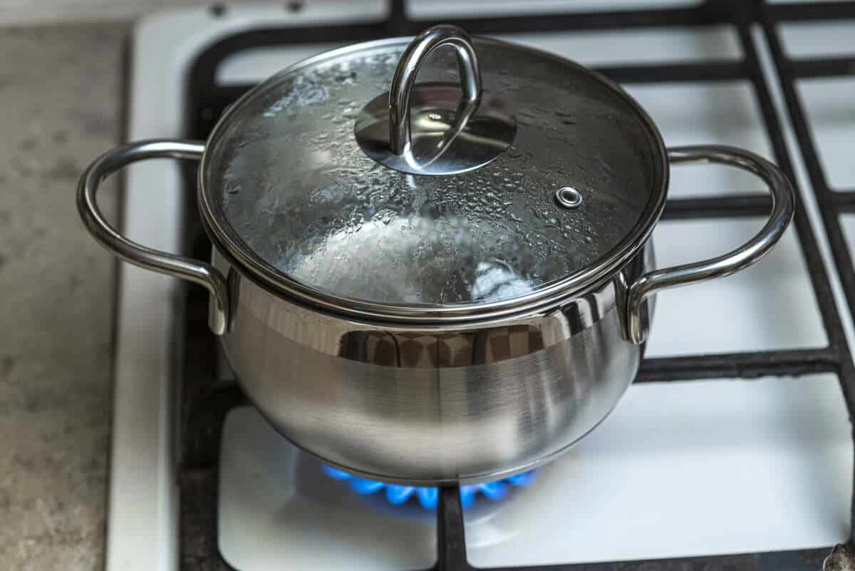 Stainless steel pot with lid on gas stove burner