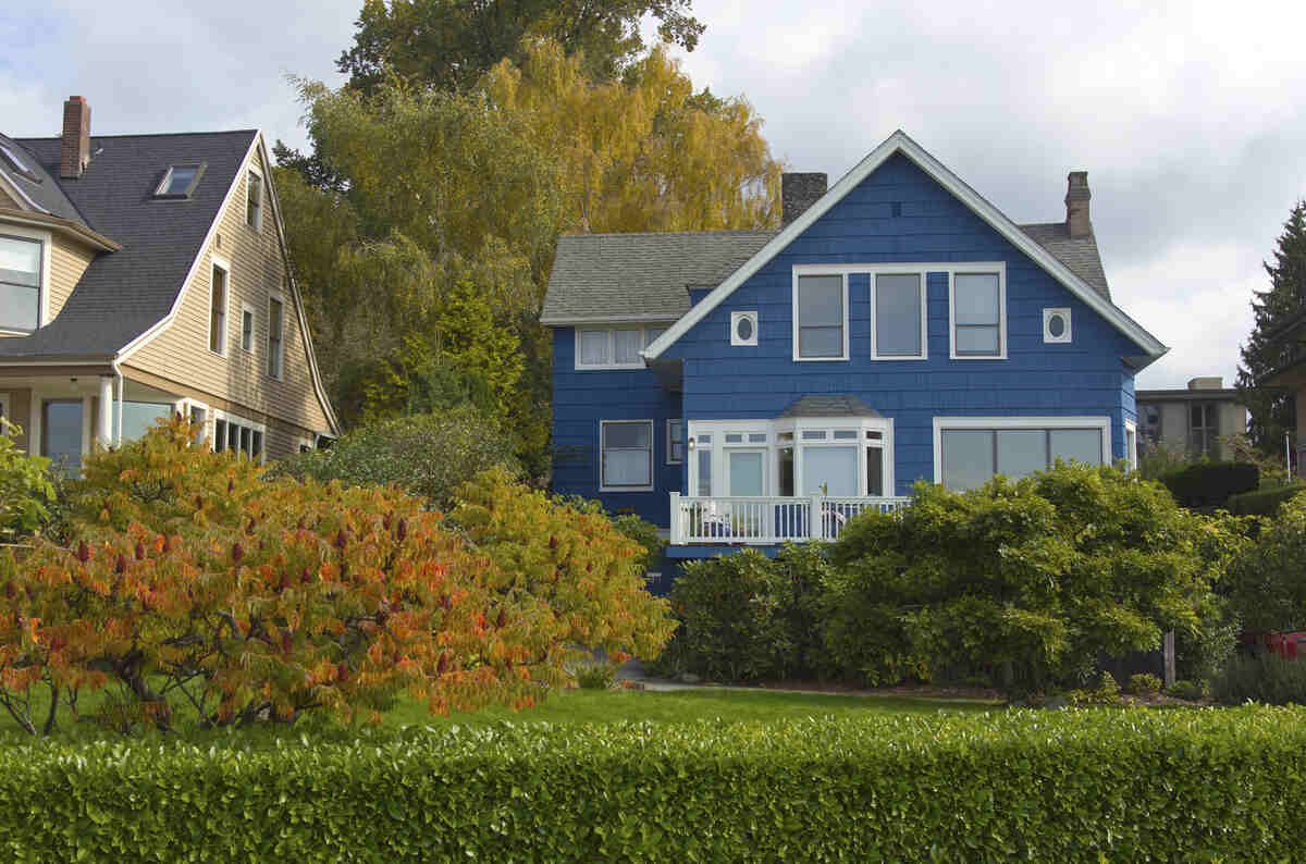Charming blue house with garden and hedges in residential neighbourhood