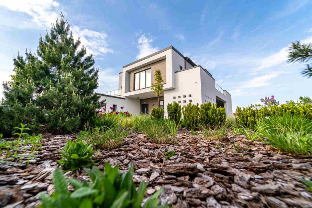 Modern house with garden landscaping and clear blue sky