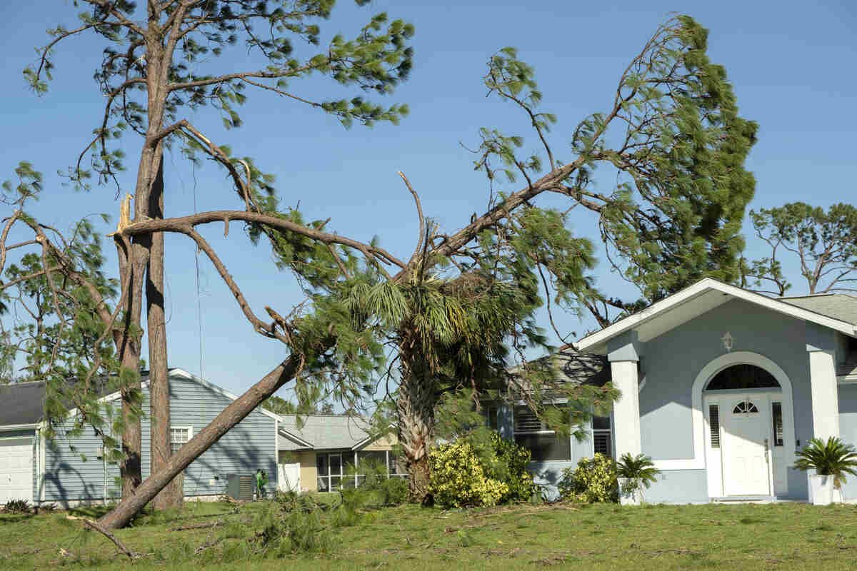 Storm-damaged house with fallen tree, Hurricane impact on homes